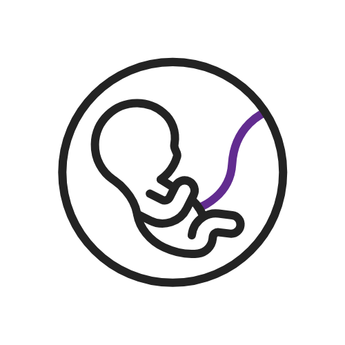 Fetus Illustration