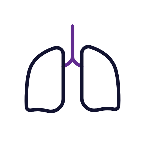 Lungs Illustration
